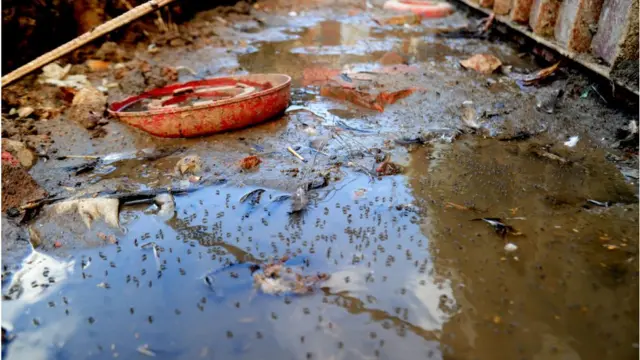 ডেঙ্গু নিয়ন্ত্রণে সময় লাগছে।