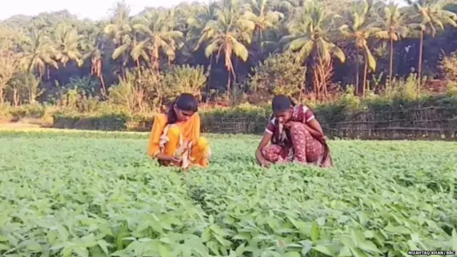 प्रातिनिधिक फोटो