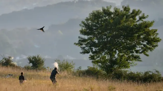 senjata api, pembunuhan, hilang, tanpa senjata, amerika, as