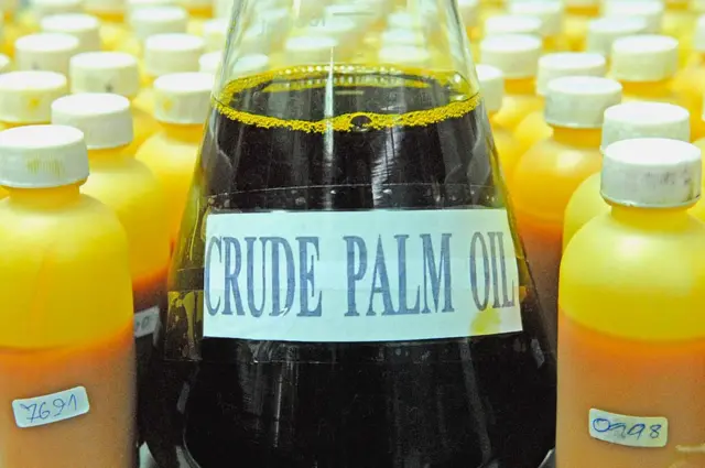 ક્રૂડ પામ ઑઇલ