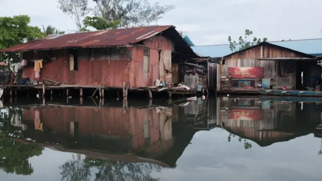 hari air sedunia, papua, hutan perempuan, hari hutan, teluk youteva