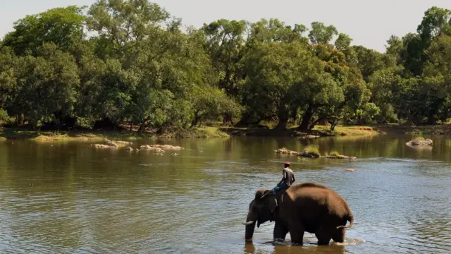காவிரி ஆறு