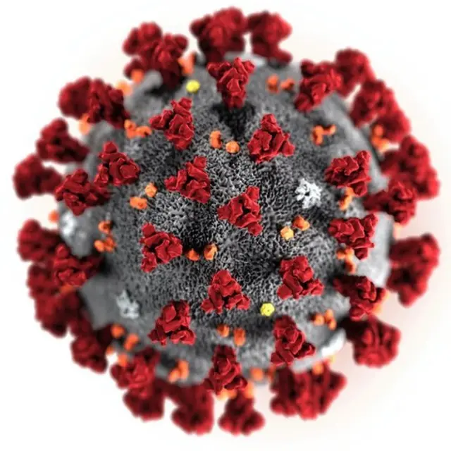 Illustration montrant la structure du virus du SRAS-CoV-2, 29 janv. 2020