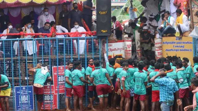 ஜல்லிக்கட்டு