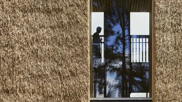 كيف تؤثر جودة الهواء بداخل المباني على صحتك؟