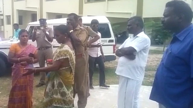 பாப்பாள்