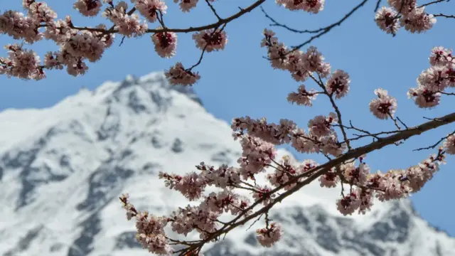 سکردو اور ہنزہ میں موسمِ بہار