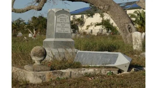 قواعد التماثيل بعدسات الجمهور