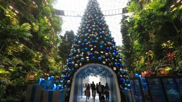 সিঙ্গাপুর বিমানবন্দরে ক্রিস্টমাস ট্রি