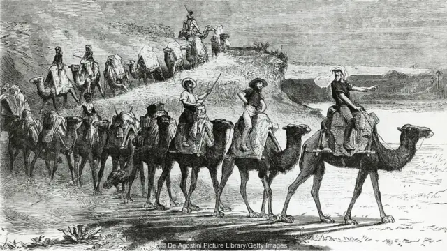 在19世紀末和20世紀初,駱駝運送貨物和人穿越澳洲內陸(Credit: De Agostini Picture Library/Getty Images)