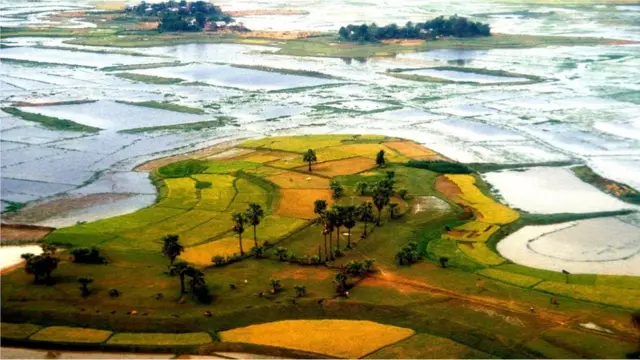 بنگلہ دیش سٹیمرز