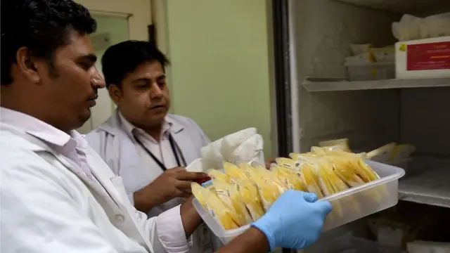 તબીબોની તસવીર