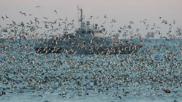 Російський військовий корабель на рейді в бухті Севастополя