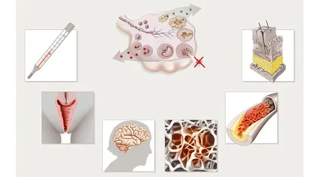 Menopause - Sri Lanka