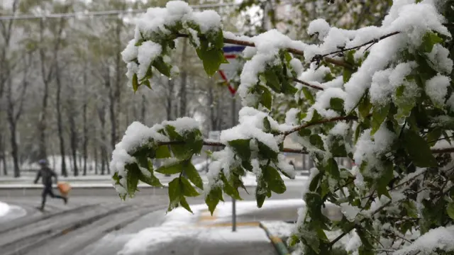 Снегопад в Москве