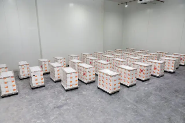 Depolanan CoronaVac aşıları