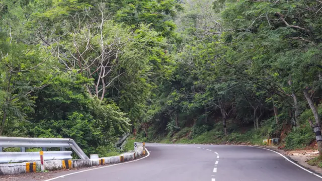 கோவை–சத்தியமங்கலம் பசுமை வழிச்சாலை