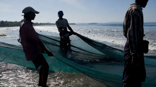 မြန်မာ ငါးသယံဇာတ