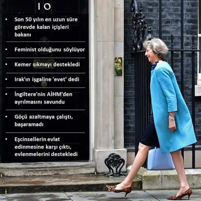 Theresa May ve politikaları