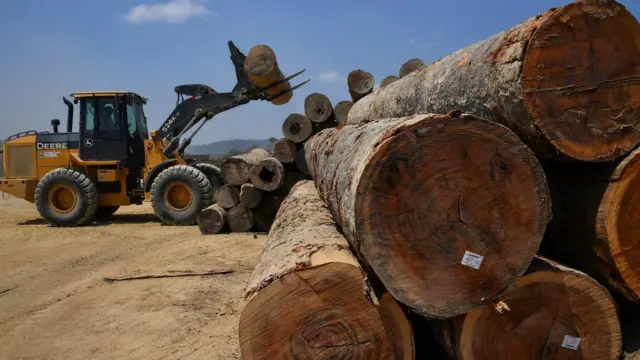 Madeira retirada da floresta amazônica