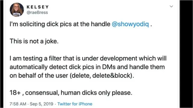 ఫిల్టర్‌కు అవసరమైన ఆర్టిఫిషియల్ ఇంటెలిజెన్స్‌ను అభివృద్ధి చేసేందుకు పురుషాంగాల చిత్రాలు పంపాలని కెల్సీ సెప్టెంబరులో ట్విటర్లో కోరారు.