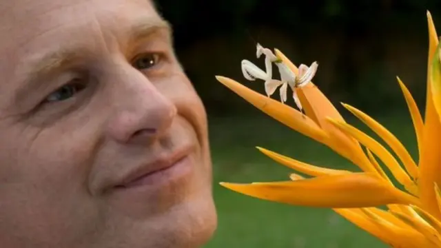 پکمن به گونه‌ای دیگر محیط اطرافش را می‌بیند و می‌فهمد