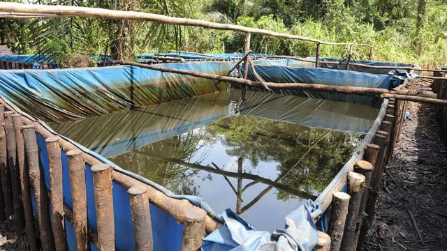 Rumuekpe explosion for illegal refinery explosion near Port Harcourt leave dozens dead