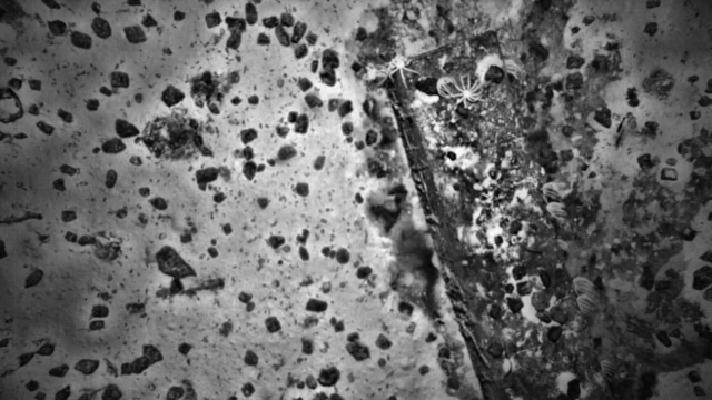 A black-and-white radar image showing an iron water tank in the wreck of a wooden ship