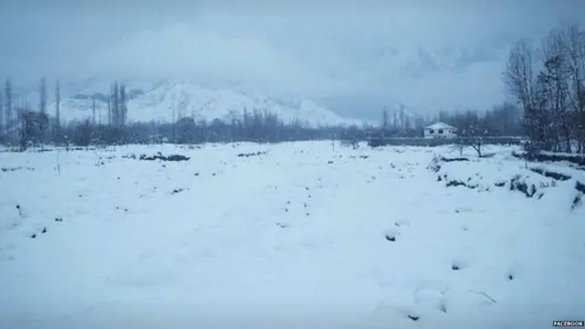 kashmir