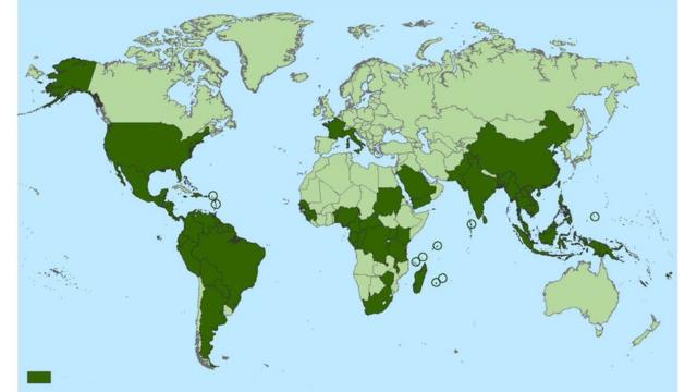 Regiões atuais ou anterioreshand pokertransmissão local do vírus chikungunya