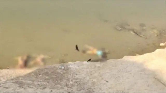 உடல்கள்