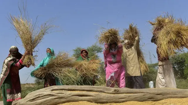 پاکستانی خواتین