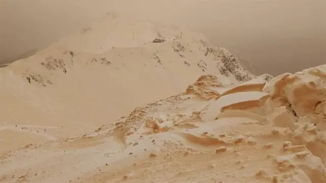 نارنجي واوره