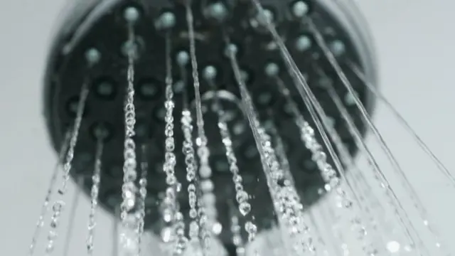 Soqollangan mushuklarning fotosuratlari