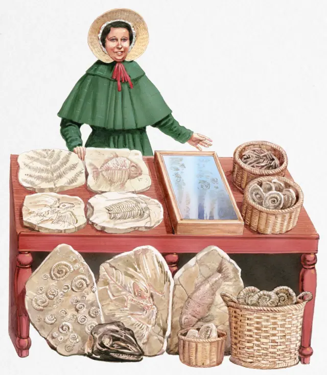 Illustration d'une paléontologue du XIXe siècle Mary Anning.