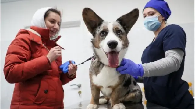 Клиника