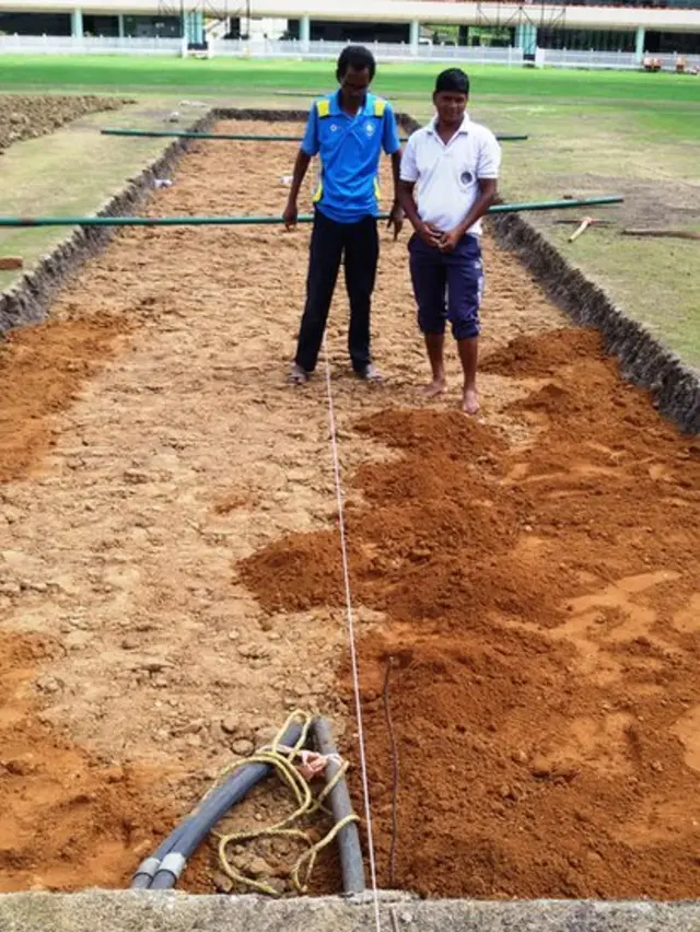 क्रिकेट पिच