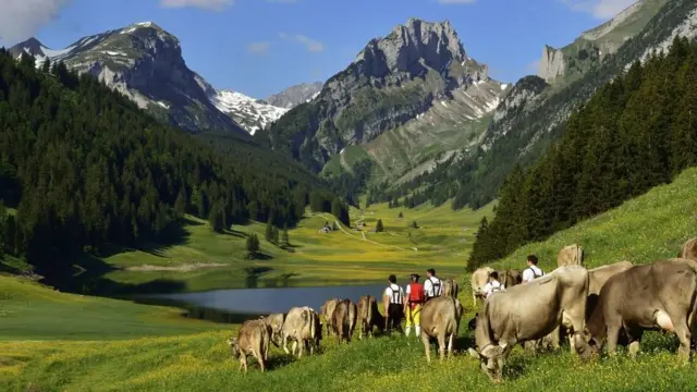 Обронить бумажник в Швейцарии не страшно - если найдут, то наверняка вернут