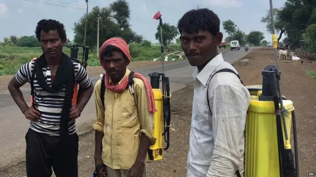 शेतकऱ्यांना कीटकनाशकांच्या फवारणीसाठी संरक्षक कीट पुरवण्यात आली नसल्याचं दिसून येतं होतं.