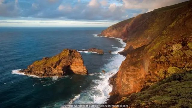The coast of La Palma