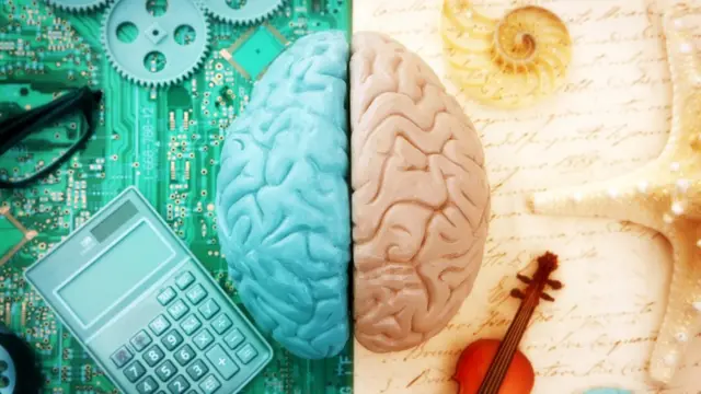 Ilustración de los dos hemisferios cerebrales