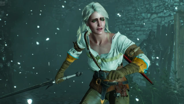 The Witcher 3: Wild Hunt