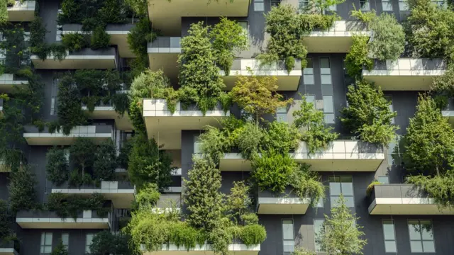 Jardines verticales.