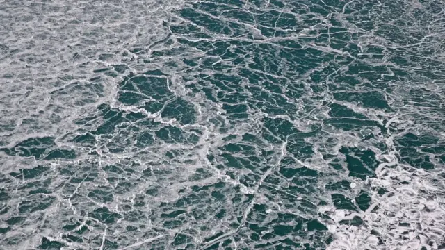 அமெரிக்கா