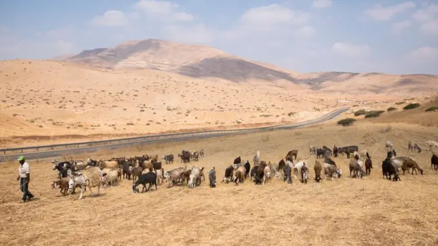 منطقة غور الأردن