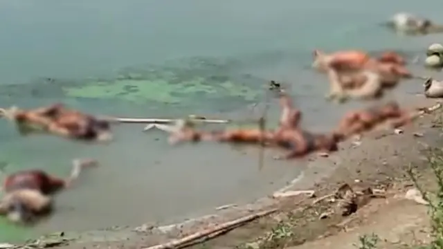 गंगा घाट पर पड़े शव