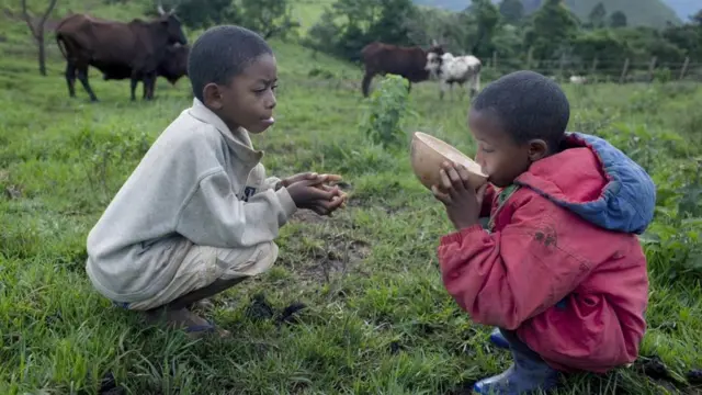 Le lait de soja est le meilleur substitut du lait de vache, mais comme la qualité de ses protéines peut être moindre, il n'est pas forcément le meilleur choix pour les personnes âgées