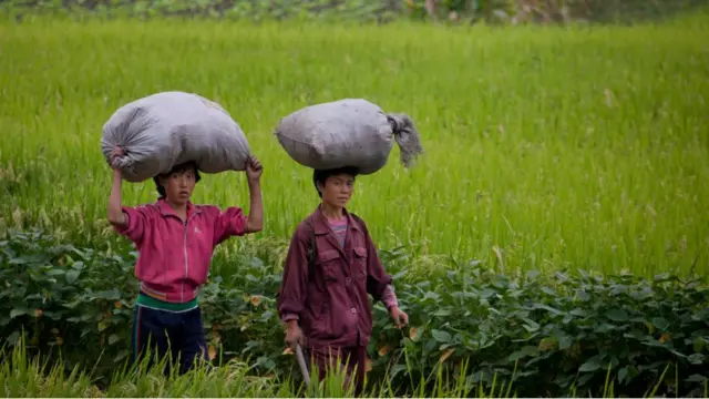 उत्तर कोरिया