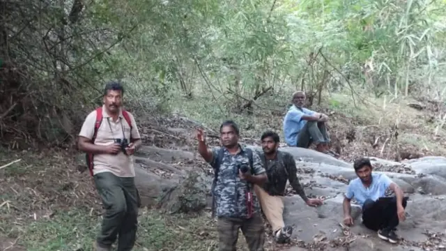 பட்டாம்பூச்சி ஆராய்ச்சி