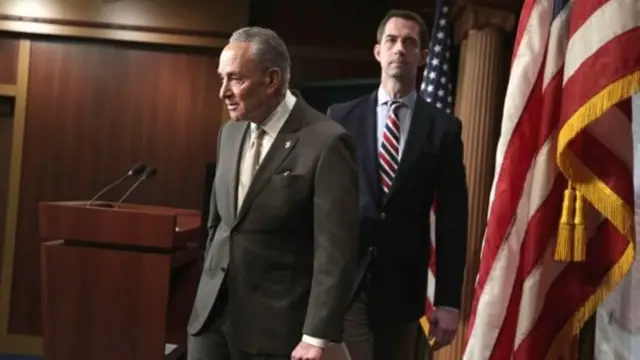 সেনেটর চাক শুমার এবং সেনেটর টম কটন